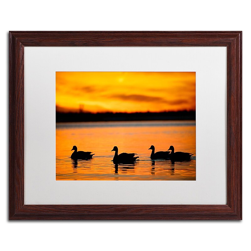 Trademark David Ayash "Jamaica Bay Sunset - NYC II" Art, White Matte With Wood Frame, 16" x 20" image 1