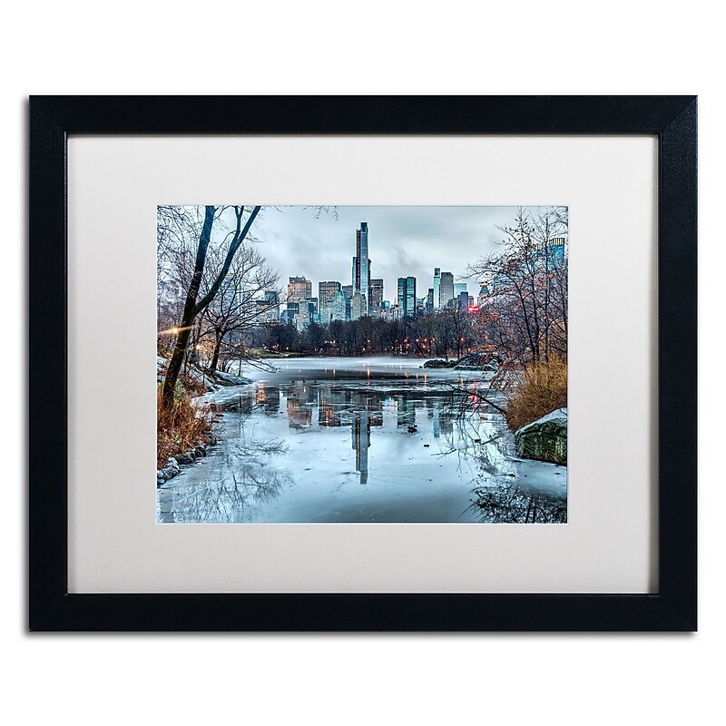 Trademark David Ayash "Frozen Central Park Lake I" Art, White Matte With Black Frame, 16" x 20" image 1