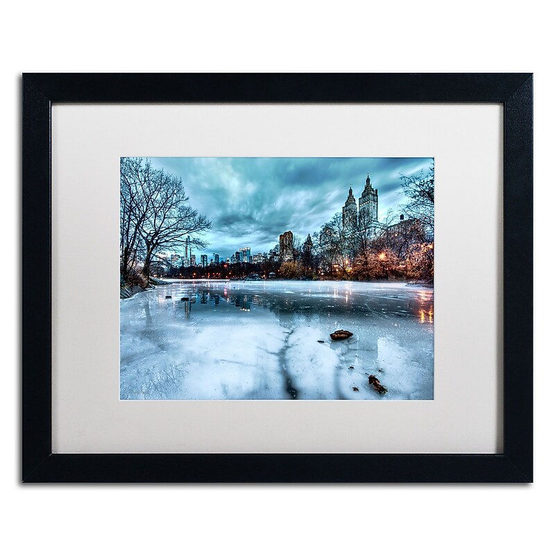 Trademark David Ayash "Frozen Central Park Lake II" Art, White Matte With Black Frame, 16" x 20" image 1