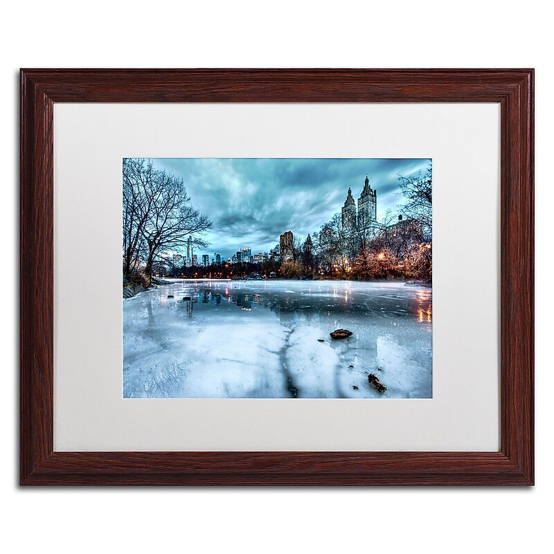 Trademark David Ayash "Frozen Central Park Lake II" Art, White Matte With Wood Frame, 16" x 20" image 1