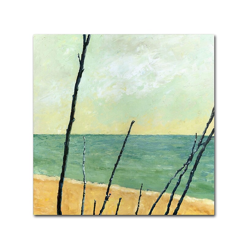 Trademark Michelle Calkins "Branches on the Beach" Gallery-Wrapped Canvas Art, 24" x 24" image 1