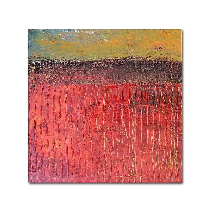 Trademark Michelle Calkins "Highway Series Cranberry Bog" Gallery-Wrapped Canvas Art, 24" x 24" image 1