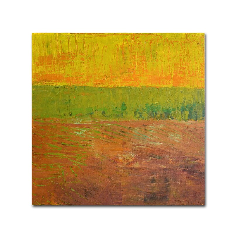 Trademark Michelle Calkins "Highway Series Soil" Gallery-Wrapped Canvas Art, 24" x 24" image 1