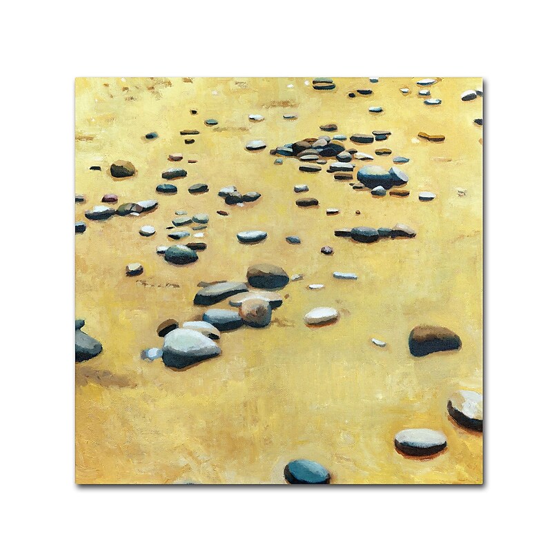 Trademark Michelle Calkins "Pebbles on the Beach" Gallery-Wrapped Canvas Art, 24" x 24" image 1