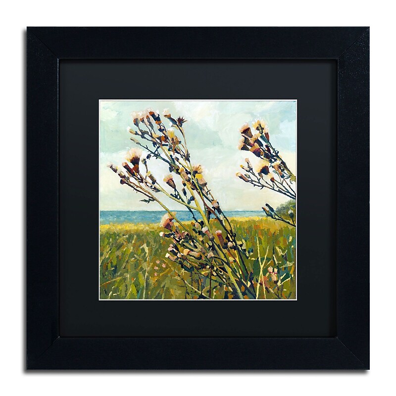 Trademark Michelle Calkins "Thistles on the Beach" Art, Black Matte With Black Frame, 11" x 11" image 1