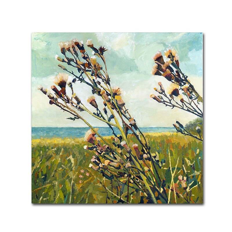 Trademark Michelle Calkins "Thistles on the Beach" Gallery-Wrapped Canvas Art, 35" x 35" image 1