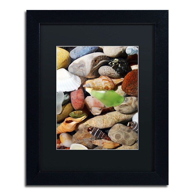 Trademark Michelle Calkins "Petoskey Stones l" Art, Black Matte With Black Frame, 11" x 14" image 1