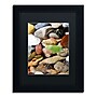 Trademark Michelle Calkins "Petoskey Stones l" Art, Black Matte With Black Frame, 11" x 14"~#|#~m001700602_sc7