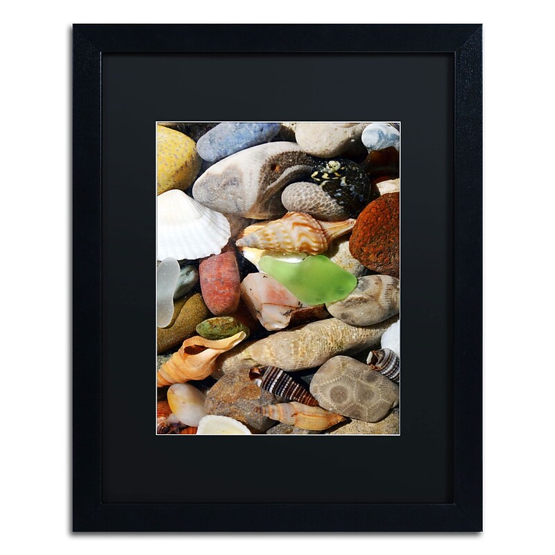 Trademark Michelle Calkins "Petoskey Stones l" Art, Black Matte With Black Frame, 16" x 20" image 1