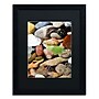 Trademark Michelle Calkins "Petoskey Stones l" Art, Black Matte With Black Frame, 16" x 20"~#|#~m001700608_sc7