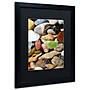 Trademark Michelle Calkins "Petoskey Stones l" Art, Black Matte With Black Frame, 16" x 20"~#|#~m001700609_sc7