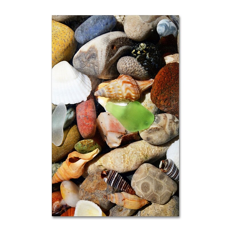 Trademark Michelle Calkins "Petoskey Stones l" Gallery-Wrapped Canvas Art, 30" x 47" image 1