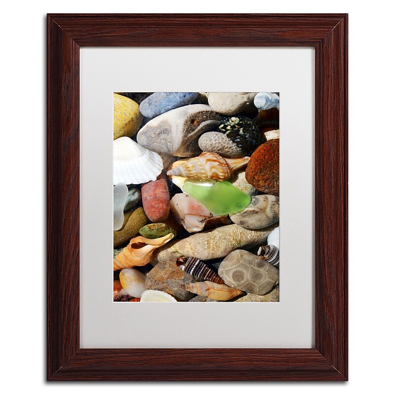 Trademark Michelle Calkins "Petoskey Stones l" Art, White Matte With Wood Frame, 11" x 14" image 1