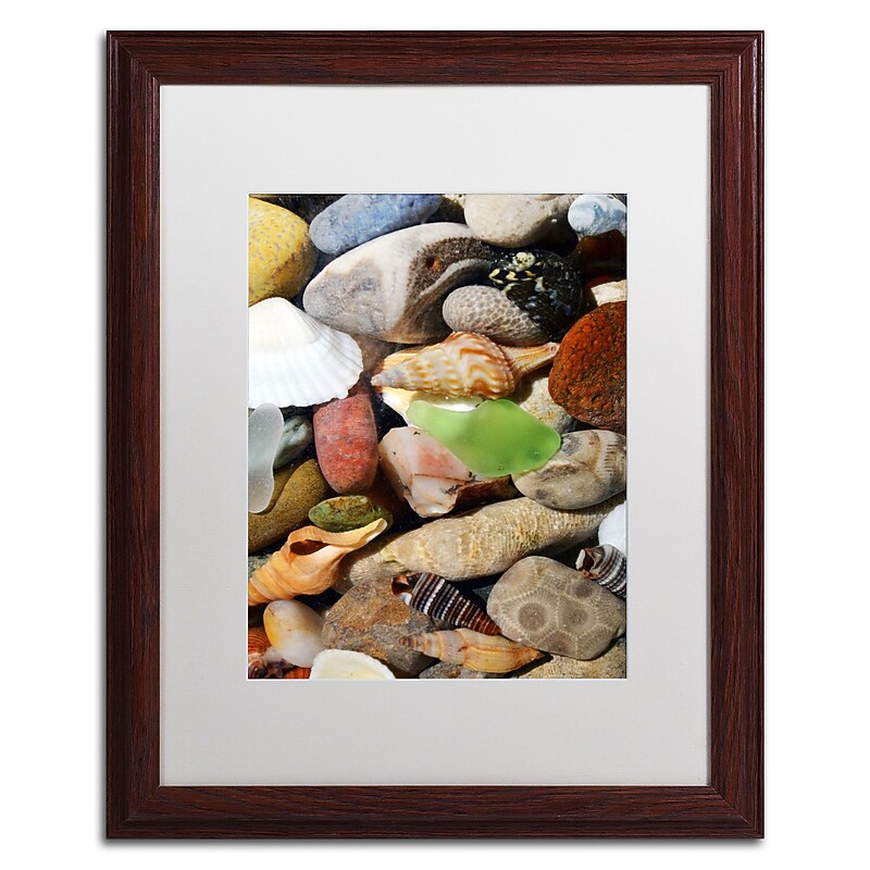 Trademark Michelle Calkins "Petoskey Stones l" Art, White Matte With Wood Frame, 16" x 20" image 1