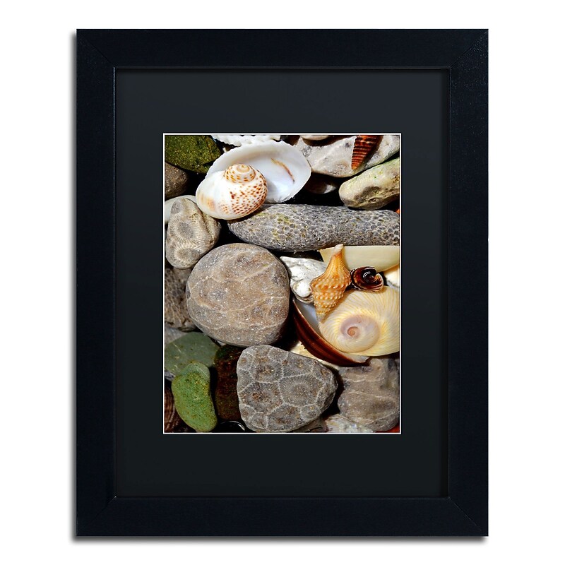 Trademark Michelle Calkins "Petoskey Stones ll" Art, Black Matte With Black Frame, 11" x 14" image 1