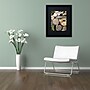 Trademark Michelle Calkins "Petoskey Stones ll" Art, Black Matte With Black Frame, 16" x 20"~#|#~m001700622_sc7