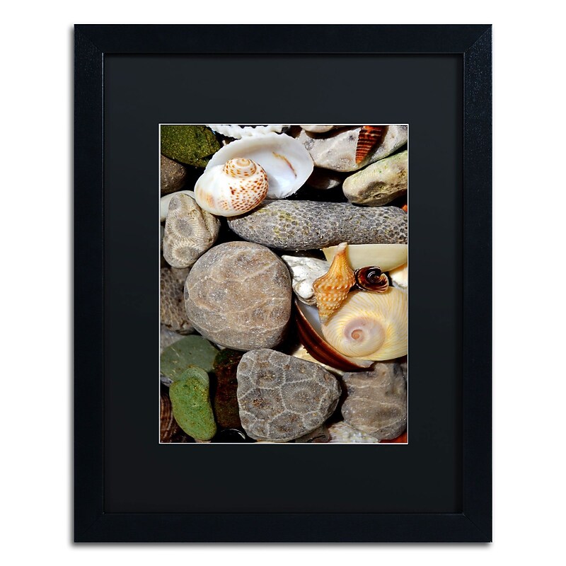 Trademark Michelle Calkins "Petoskey Stones ll" Art, Black Matte With Black Frame, 16" x 20" image 1