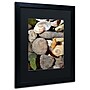 Trademark Michelle Calkins "Petoskey Stones ll" Art, Black Matte With Black Frame, 16" x 20"~#|#~m001700627_sc7
