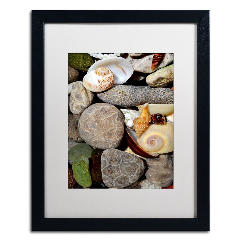 Trademark Michelle Calkins "Petoskey Stones ll" Art, White Matte With Black Frame, 16" x 20" image 1
