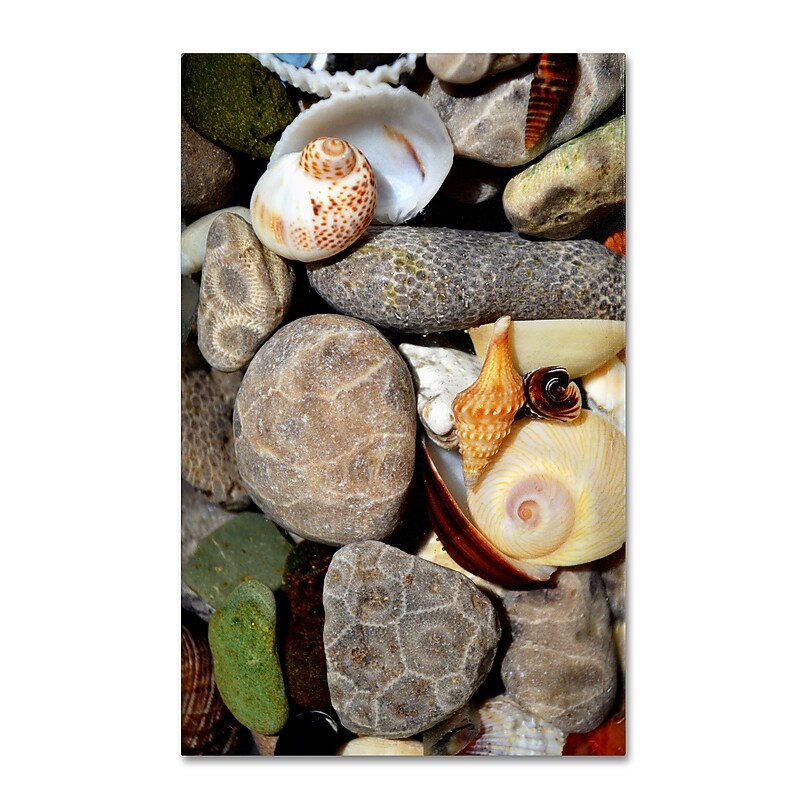 Trademark Michelle Calkins "Petoskey Stones ll" Gallery-Wrapped Canvas Art, 16" x 24" image 1