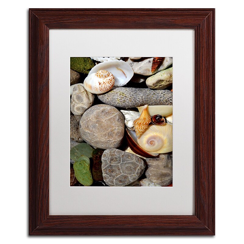 Trademark Michelle Calkins "Petoskey Stones ll" Art, White Matte With Wood Frame, 11" x 14" image 1