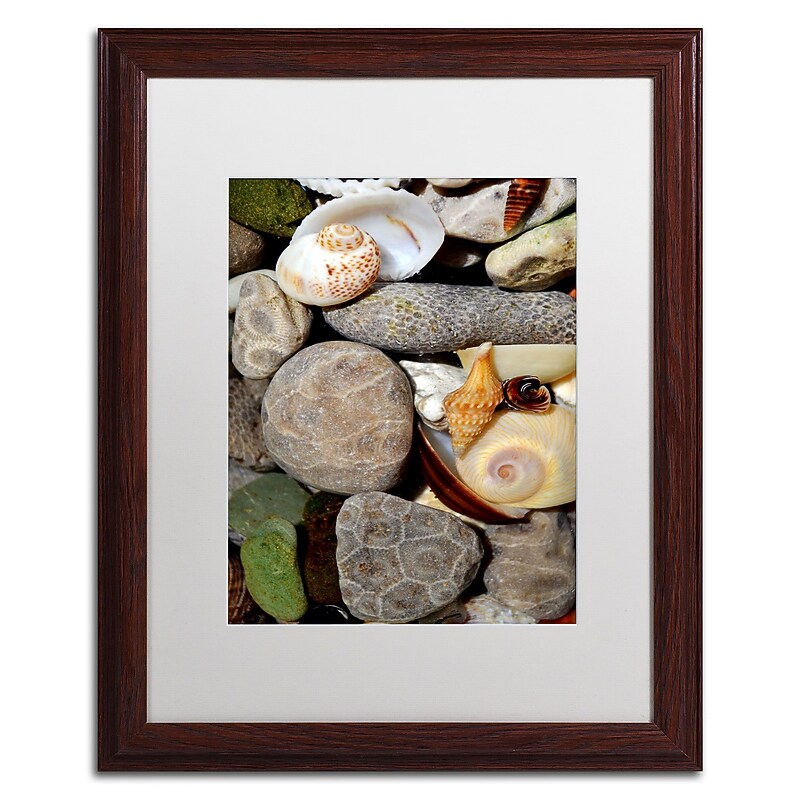 Trademark Michelle Calkins "Petoskey Stones ll" Art, White Matte With Wood Frame, 16" x 20" image 1