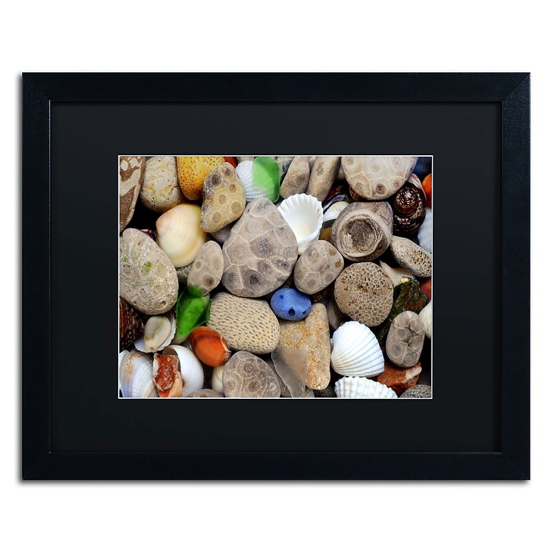 Trademark Michelle Calkins "Petoskey Stones lll" Art, Black Matte With Black Frame, 16" x 20" image 1