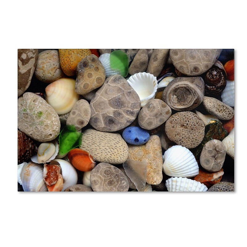 Trademark Michelle Calkins "Petoskey Stones lll" Gallery-Wrapped Canvas Art, 16" x 24" image 1