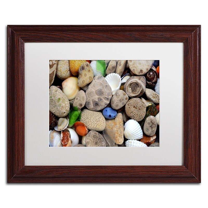Trademark Michelle Calkins "Petoskey Stones lll" Art, White Matte With Wood Frame, 11" x 14" image 1