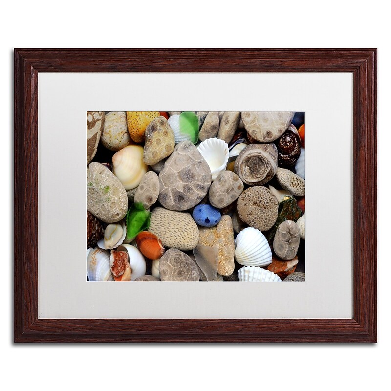 Trademark Michelle Calkins "Petoskey Stones lll" Art, White Matte With Wood Frame, 16" x 20" image 1