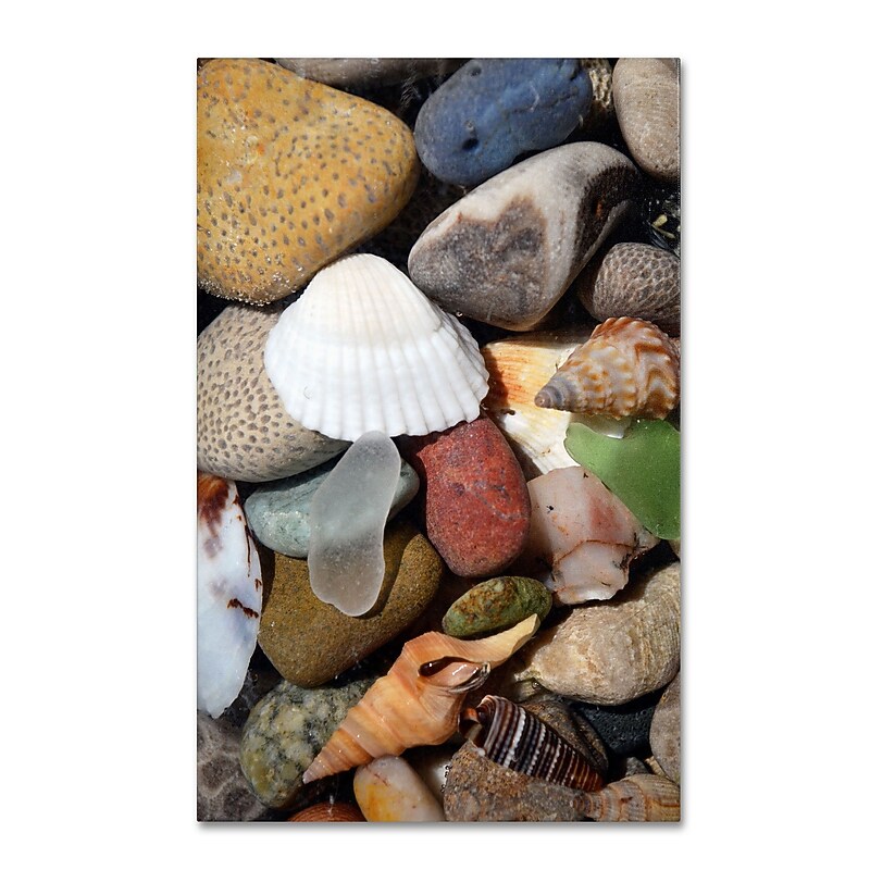 Trademark Michelle Calkins "Petoskey Stones lV" Gallery-Wrapped Canvas Art, 16" x 24" image 1