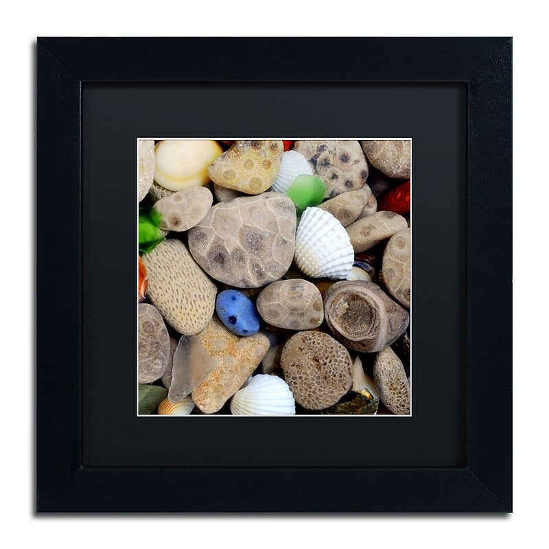 Trademark Michelle Calkins "Petoskey Stones V" Art, Black Matte With Black Frame, 11" x 11" image 1