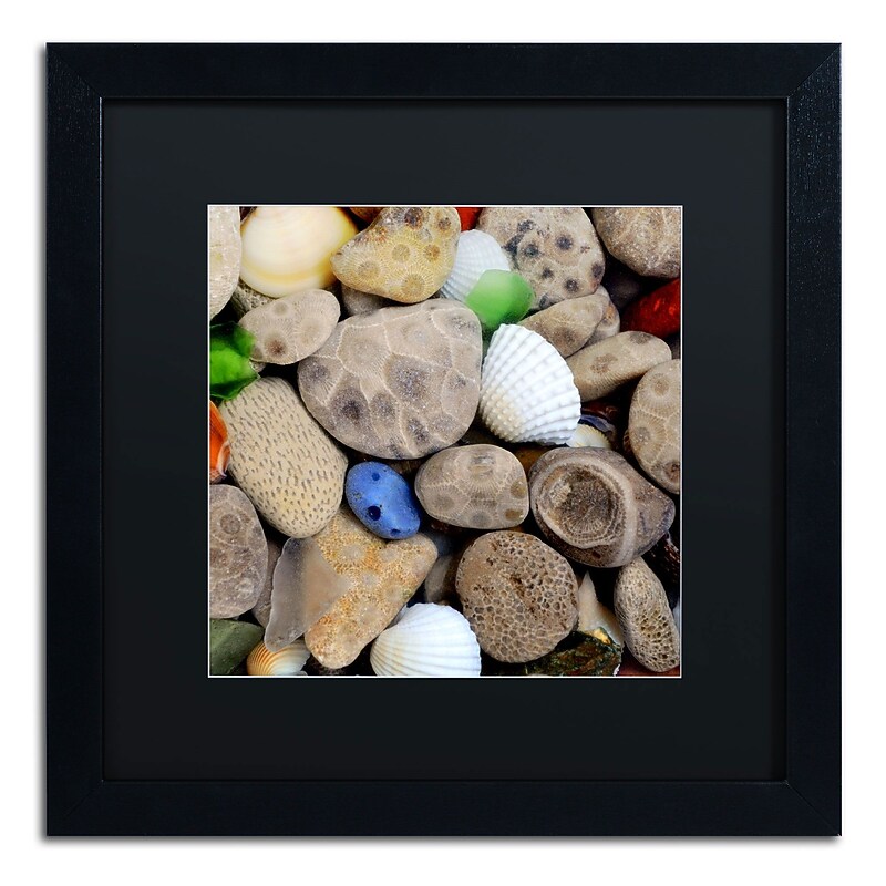 Trademark Michelle Calkins "Petoskey Stones V" Art, Black Matte With Black Frame, 16" x 16" image 1