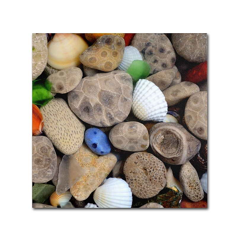 Trademark Michelle Calkins "Petoskey Stones V" Gallery-Wrapped Canvas Art, 14" x 14" image 1