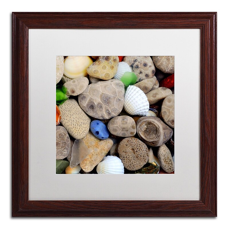 Trademark Michelle Calkins "Petoskey Stones V" Art, White Matte With Wood Frame, 16" x 16" image 1