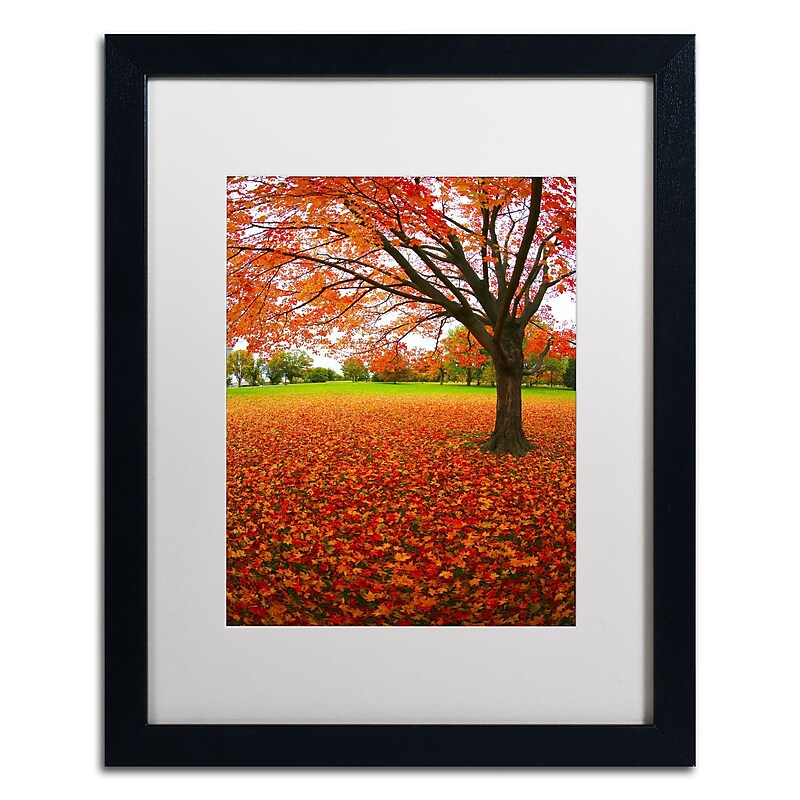 Trademark CATeyes "Autumn Expressions" Art, White Matte W/Black Frame, 16" x 20" image 1