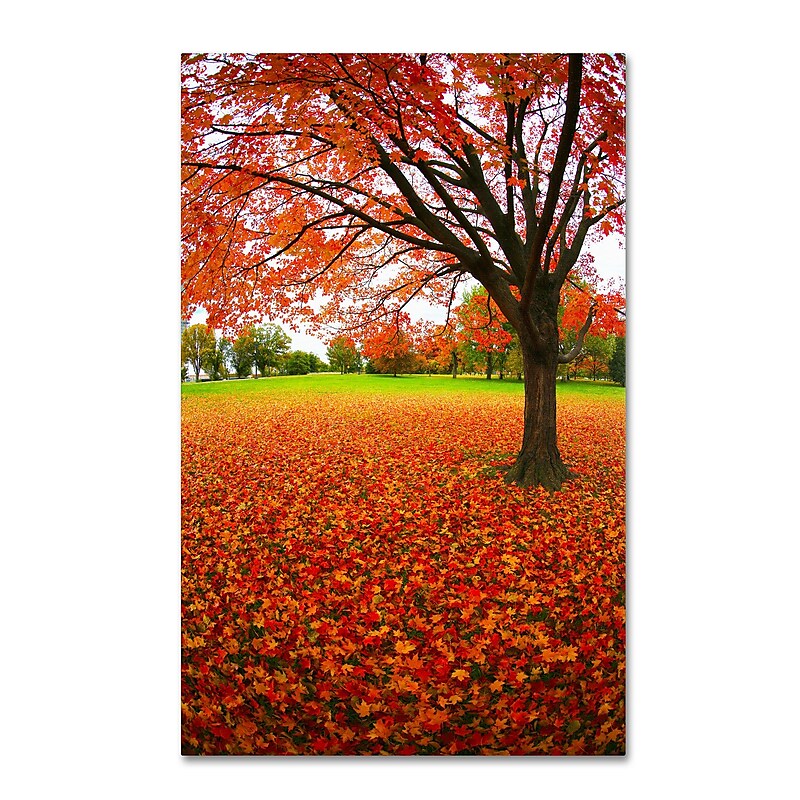 Trademark CATeyes "Autumn Expressions" Gallery-Wrapped Canvas Art, 12" x 19" image 1