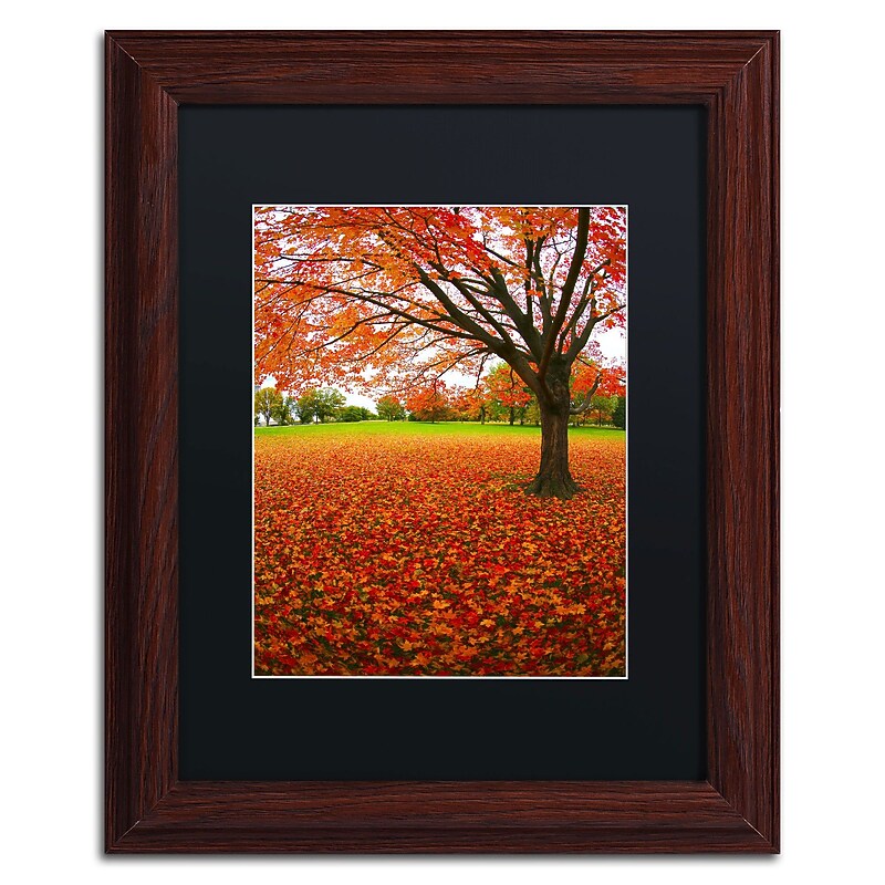 Trademark CATeyes "Autumn Expressions" Art, Black Matte W/Wood Frame, 11" x 14" image 1