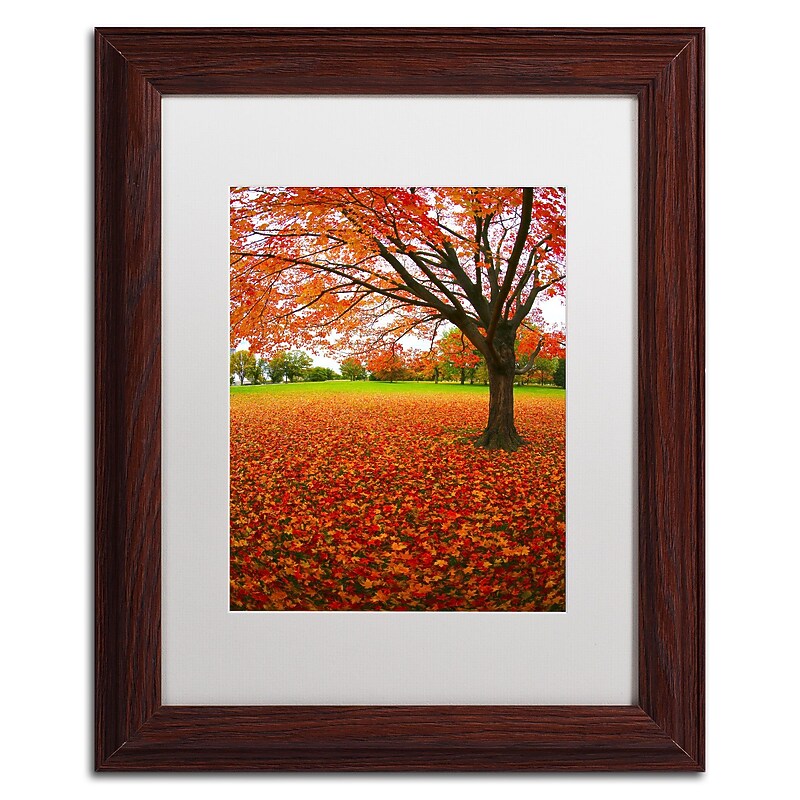 Trademark CATeyes "Autumn Expressions" Art, White Matte W/Wood Frame, 11" x 14" image 1