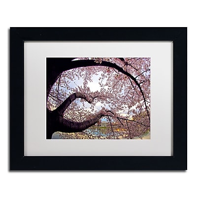 Trademark CATeyes "Cherry Blossoms 2014-1" Art, White Matte W/Black Frame, 11" x 14"