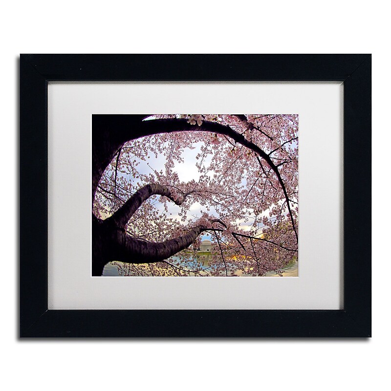 Trademark CATeyes "Cherry Blossoms 2014-1" Art, White Matte W/Black Frame, 11" x 14" image 1