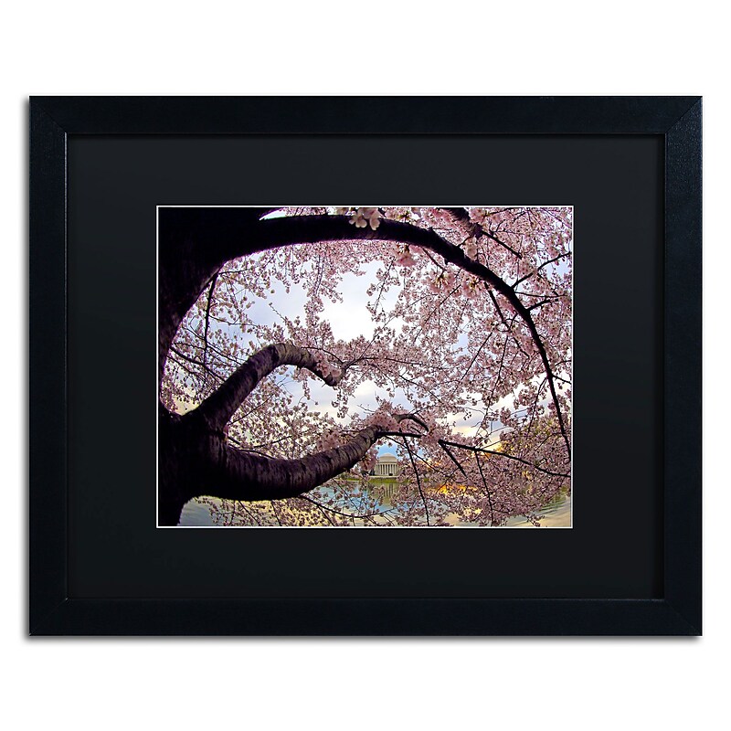 Trademark CATeyes "Cherry Blossoms 2014-1" Art, Black Matte W/Black Frame, 16" x 20" image 1