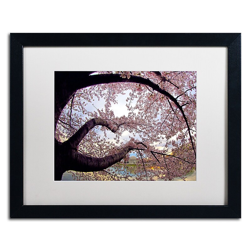 Trademark CATeyes "Cherry Blossoms 2014-1" Art, White Matte W/Black Frame, 16" x 20" image 1