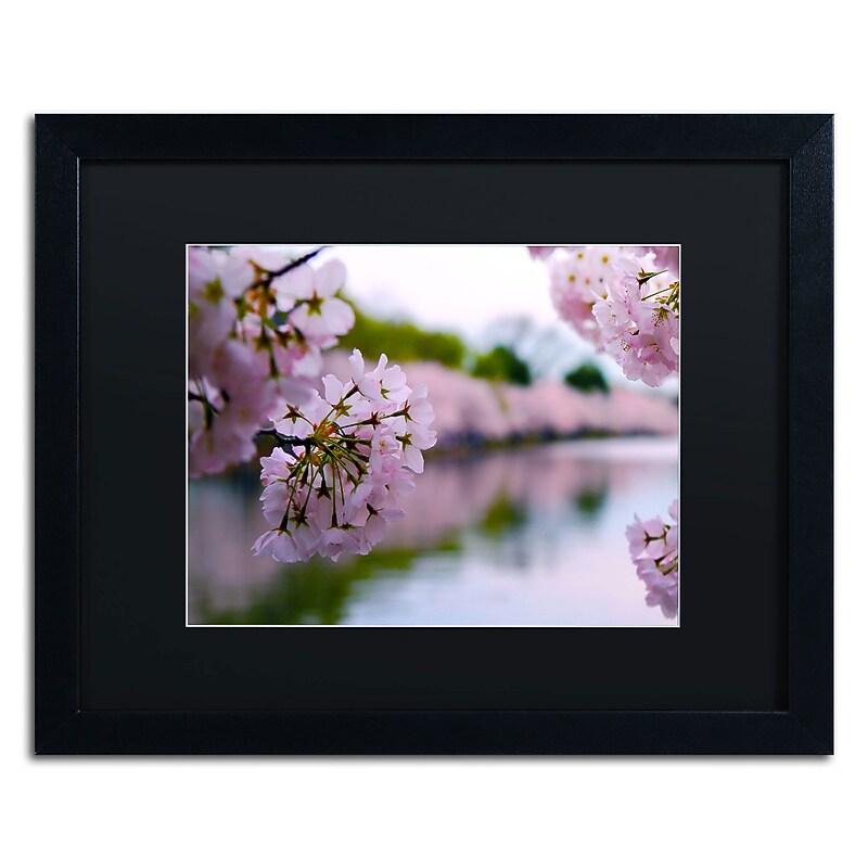 Trademark CATeyes "Cherry Blossoms 2014-2" Art, Black Matte W/Black Frame, 16" x 20" image 1