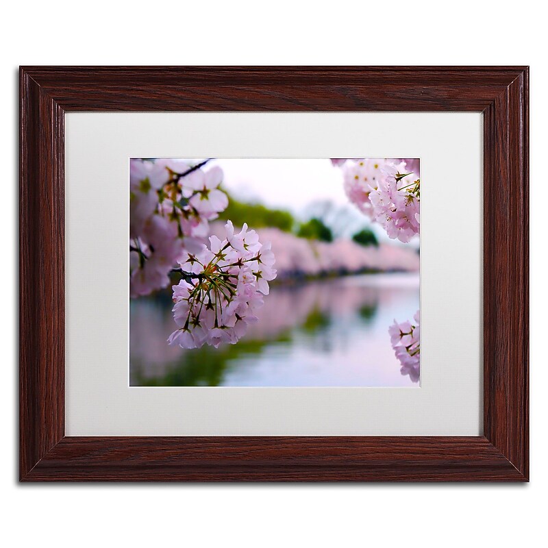 Trademark CATeyes "Cherry Blossoms 2014-2" Art, White Matte W/Wood Frame, 11" x 14" image 1