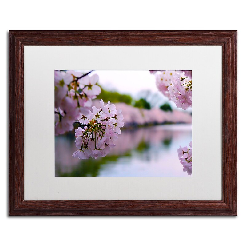Trademark CATeyes "Cherry Blossoms 2014-2" Art, White Matte W/Wood Frame, 16" x 20" image 1