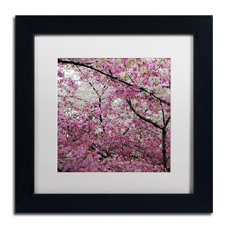 Trademark CATeyes "Cherry Blossoms 2014-3" Art, White Matte W/Black Frame, 11" x 11" image 1