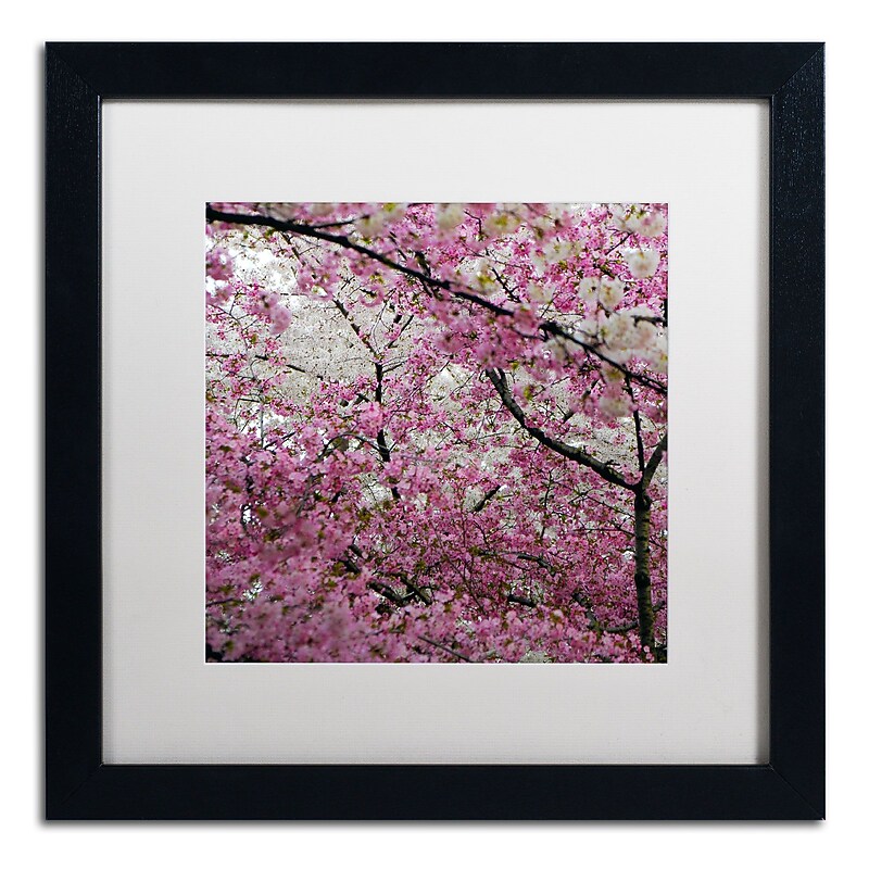 Trademark CATeyes "Cherry Blossoms 2014-3" Art, White Matte W/Black Frame, 16" x 16" image 1