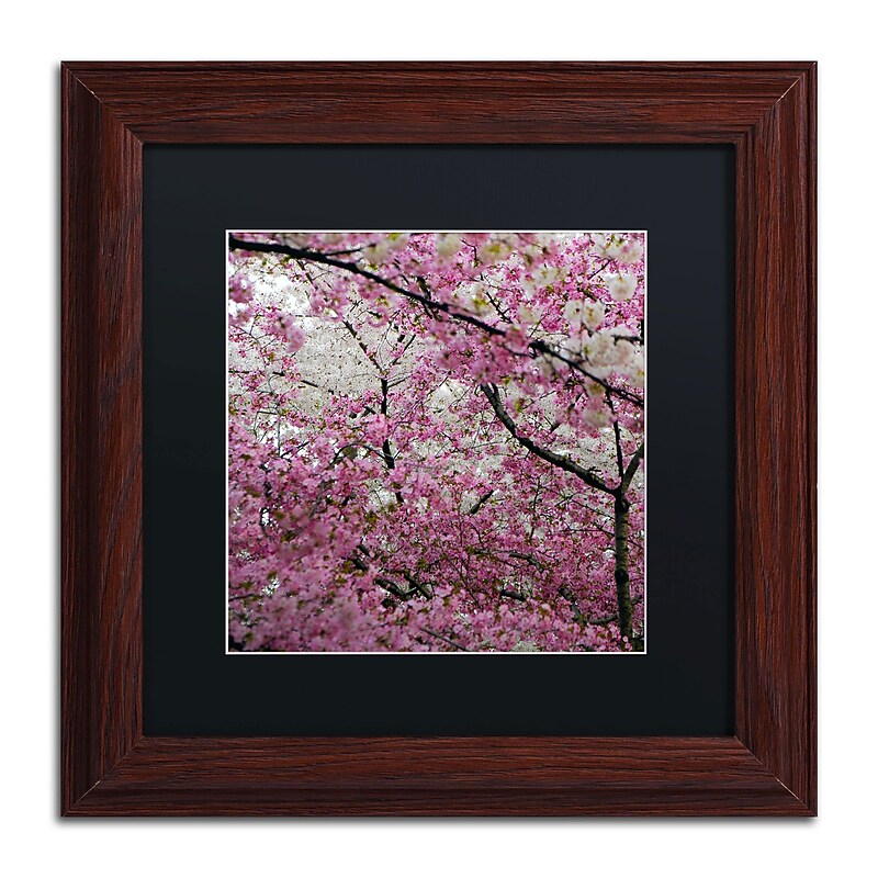 Trademark CATeyes "Cherry Blossoms 2014-3" Art, Black Matte W/Wood Frame, 11" x 11" image 1