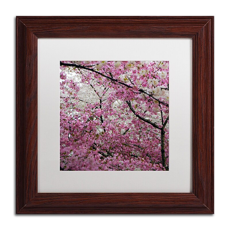 Trademark CATeyes "Cherry Blossoms 2014-3" Art, White Matte W/Wood Frame, 11" x 11" image 1